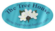 Tree House Belize