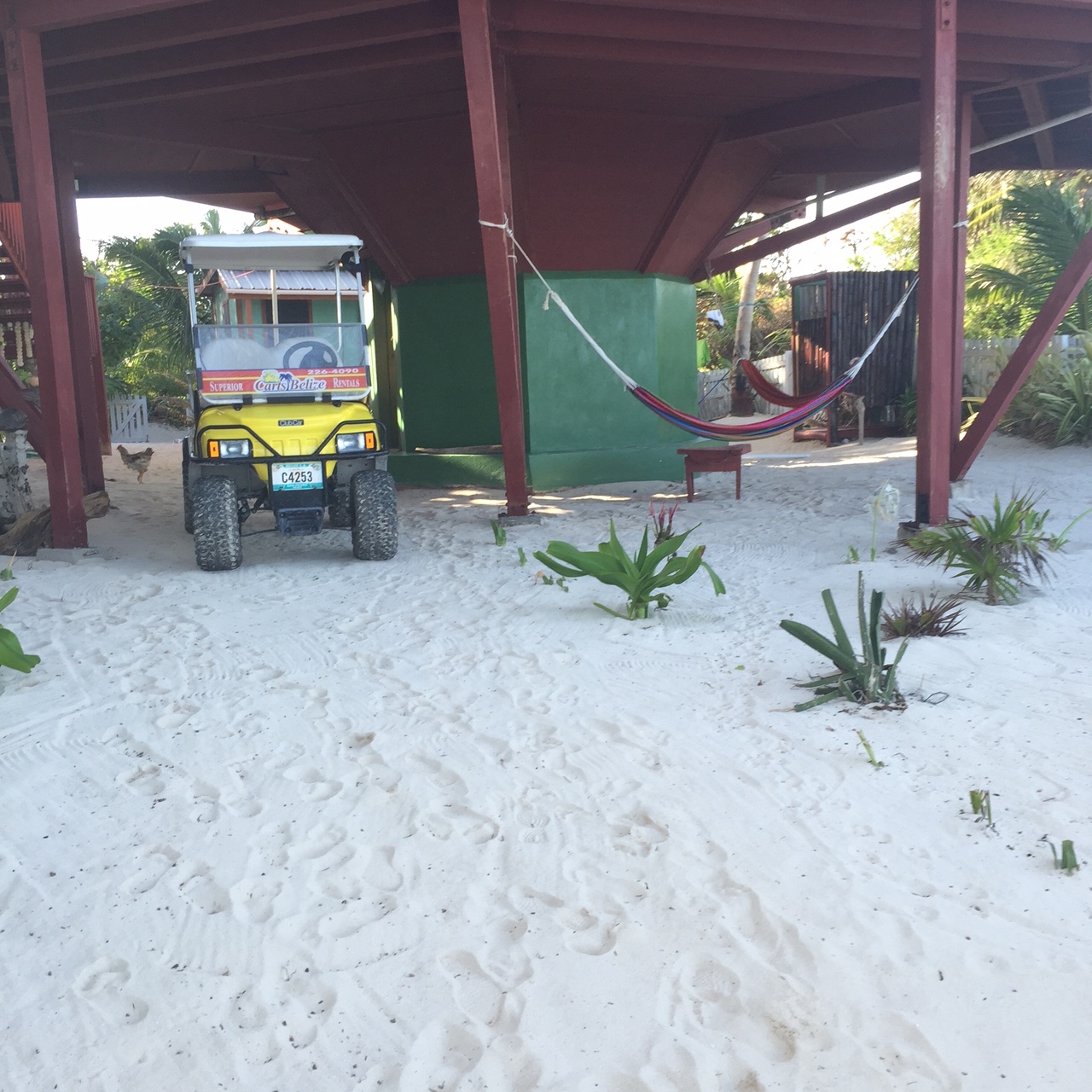 Things To Do – Tree House Belize