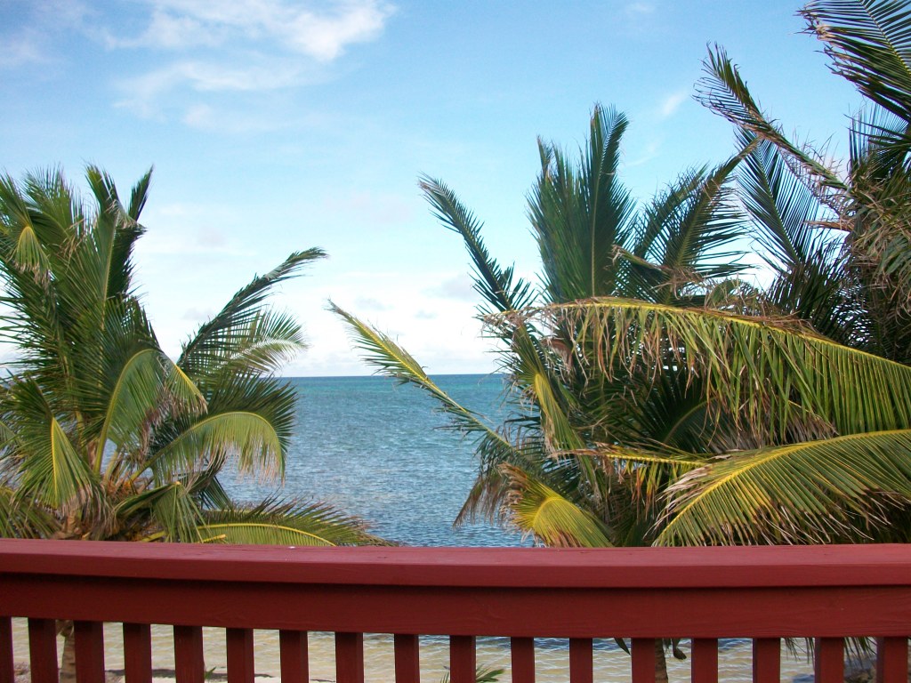 Photos – Tree House Belize